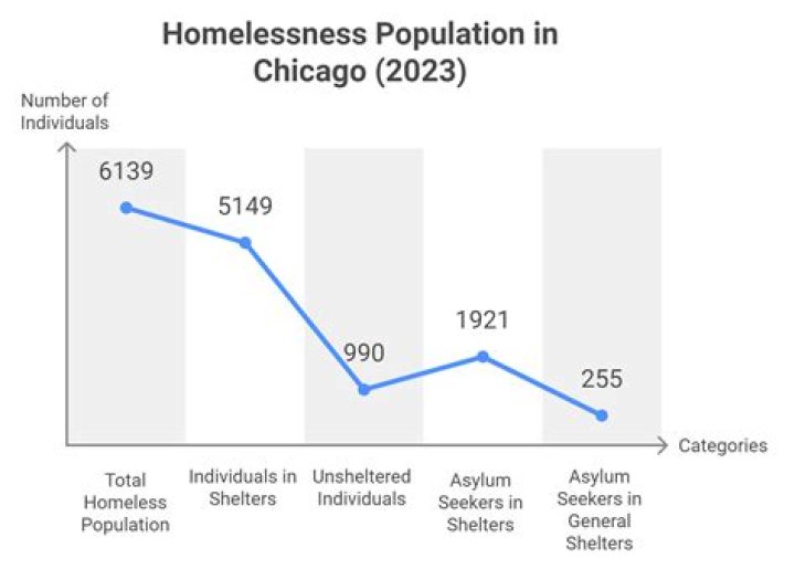
65,611 people experienced homelessness in Chicago in 2020: Report 