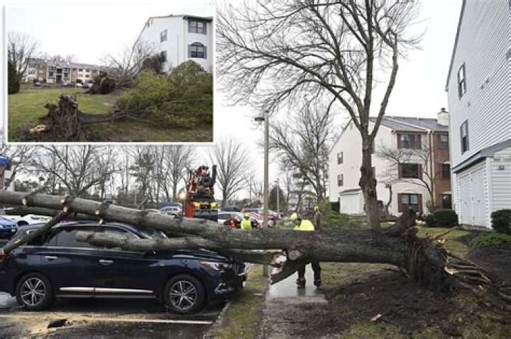 
Rare February tornado in New Jersey leaves extensive damage, displaces 100 residents 